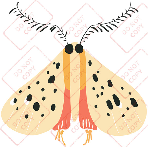 Moth 4 - Digital Download