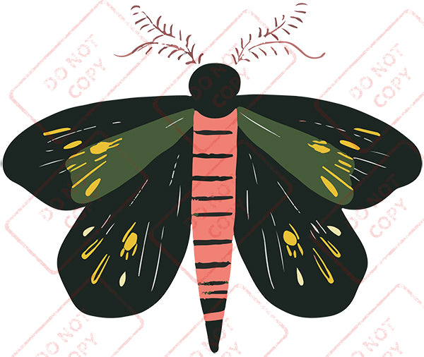 Moth 1 - Digital Download