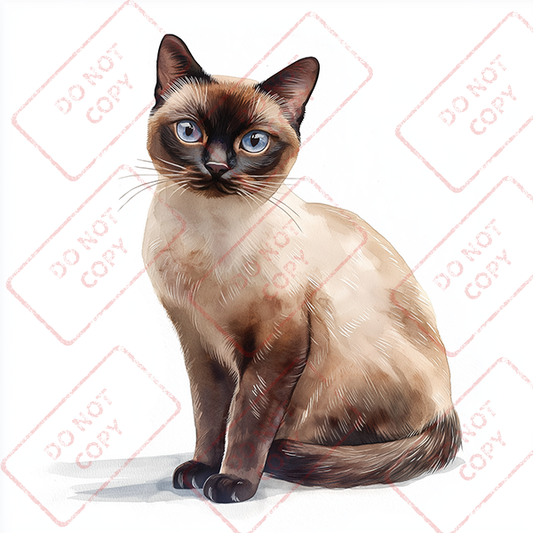 Bermese Cat - Digital Download