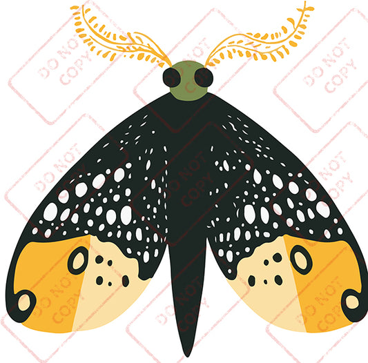 Moth 3 - Digital Download