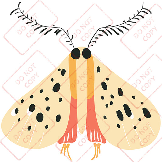Moth 4 - Digital Download