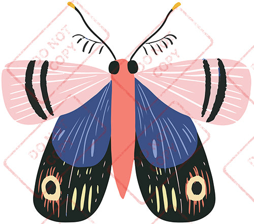 Moth 6 - Digital Download