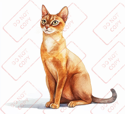 Abyssinian Cat - Digital Download
