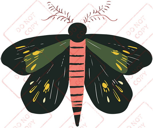 Moth 1 - Digital Download