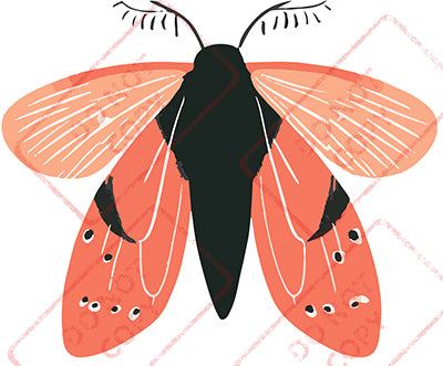 Moth 9 - Digital Download
